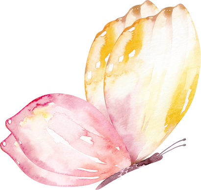 Butterflie watercolor handdrawn in pink and yellow colour